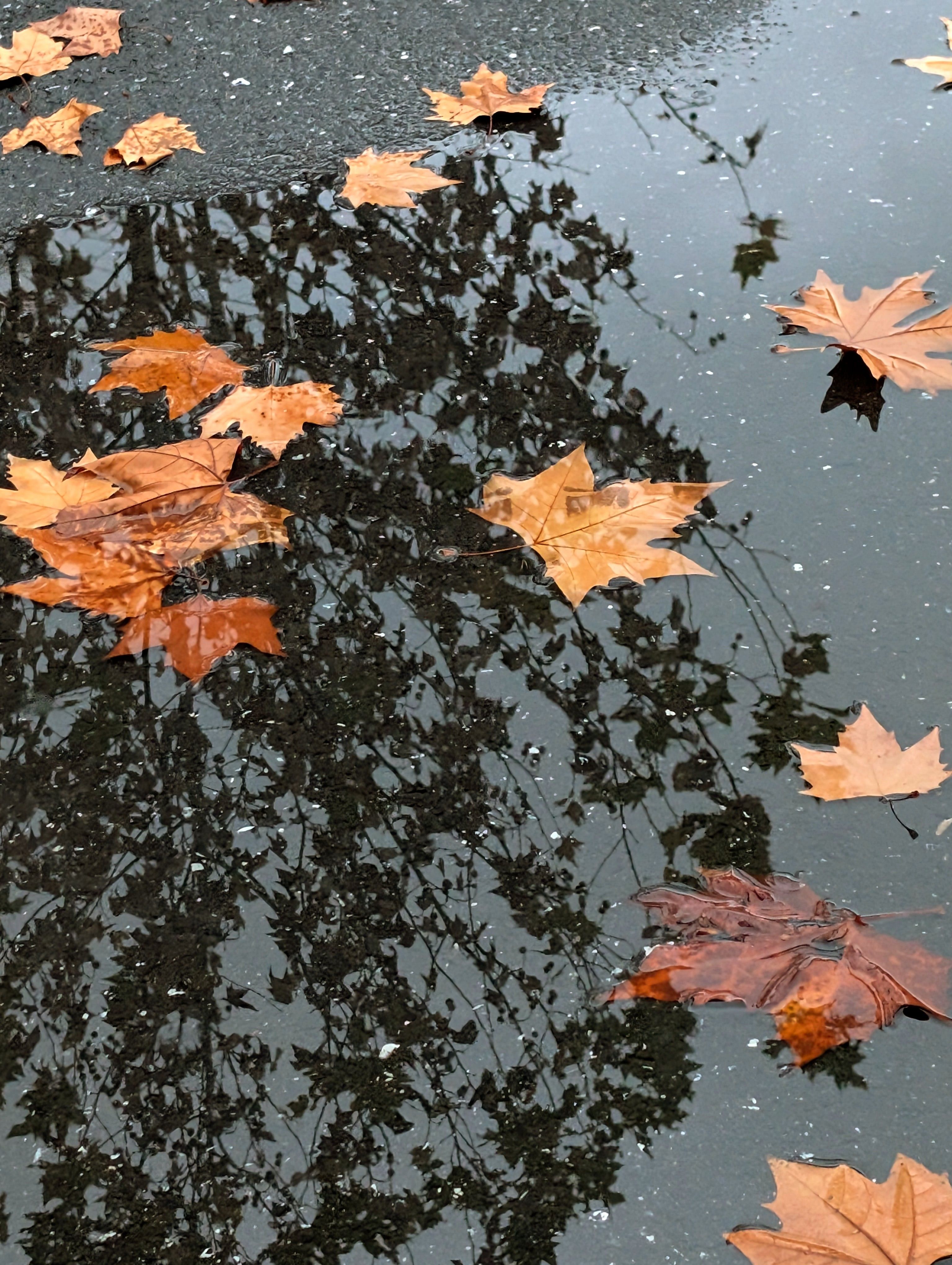 PXL 20260101 085649871~2